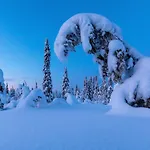 Cosy Family In Trysil