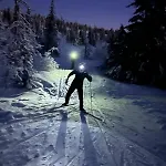 Cosy Family In Σπίτι διακοπών Trysil