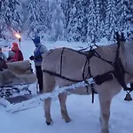 Cosy Family In Casa de Férias Trysil
