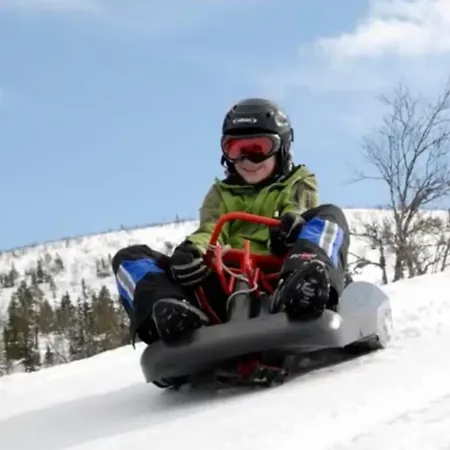 Cosy Family In Holiday home Trysil