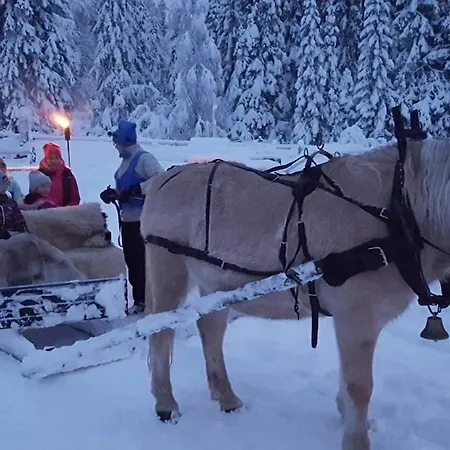 Cosy Family In Holiday home Trysil