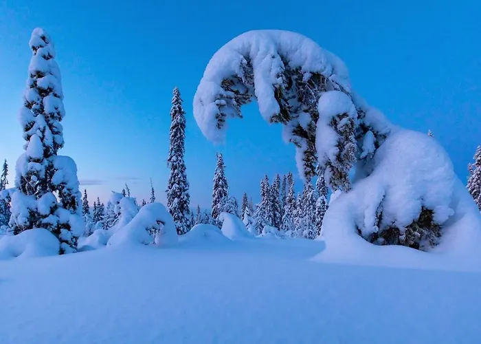 Cosy Family In Trysil