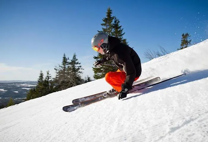 Cosy Family In * Trysil