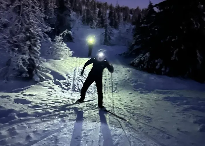 Cosy Family In Feriehus Trysil