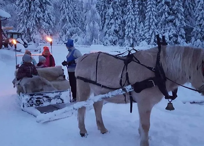Cosy Family In Prázdninový dům Trysil