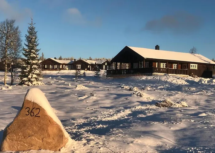 Cosy Family In * Trysil