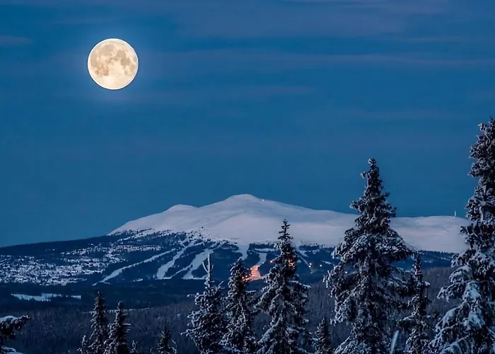 Cosy Family In * Trysil